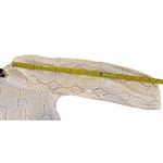 Laundry by Shelli Segal  White Crochet Knee Length Dress Size 2 Photo 5