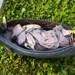 Wrangler NWT Denim Style Small Canvas Women’s Purse Photo 2