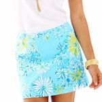 Lilly Pulitzer  Tate Skirt Breakwater Blue Daisy Floral Dance All Over Photo 1