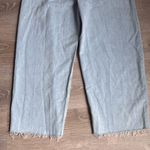 AGOLDE NEW Dagna High-Rise Pleated Baggy Jeans Photo 14