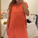 Naked Zebra  Dress Photo 0