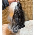 Cruella Deville Halloween Costume Set 101 Dalmatians Disney Villain Era Wig White Photo 6