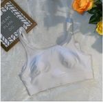 Nwt Jockey radiant sport bra stretched jersey mold mesh white L Large active Photo 2