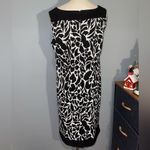 Dress Barn Black and White Patterned Midi Dress size 14W Photo 1
