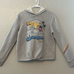 Disney ⭐️ Parks Disneyland resort vintage look crop hooded sweatshirt size medium Photo 0
