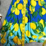 Ruby Rd. Blue Dress with Lemon Print top XL Photo 5