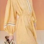 Ulla Johnson NWT Rabea striped cotton midi dress Size 8 Photo 0