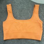 Amazon Sports Bra Photo 2