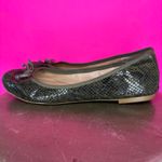Banana Republic  Snake Embossed Green Leather Ballet Flat Sz 9 Photo 3