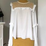 SheIn Blouse dot mesh yoke frilled lantern sleeve top Photo 1