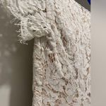 Tobi Cream & Beige Embroidered Crochet Lace Overlay Short-Sleeve Mini Dress - S Photo 6