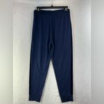 Eileen Fisher  Deep Blue Jogger Pants Photo 3
