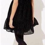 Loft Holiday Black Leopard Print Velvet Swing Dress Photo 1