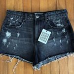 Pistola NEW  Size 29 Nova Relaxed High Rise Cut Off Denim Jean Shorts Black Photo 0