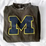 University Of Michigan grey uofm long sleeve sweater Photo 0