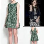 ZARA NWT  Green Lace Fit Flare Tulip Party Dress Small Photo 1