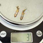 Vintage 925 Sterling Silver Tricolor Chevron Link Dangling Earrings 3g. Gold Photo 13