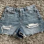 American Eagle  Outfitters Baggy mom shorts size 6 Photo 0
