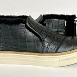 Toms Paxton Sneaker Photo 2