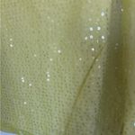 Dana Buchman  green lime  Sequin Tank overlay Top Photo 2