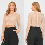 ZARA NEW  Beige Wavy Lace Scallop Hem Sheer Knit Long Sleeve Crop Top Small Y2K Photo 1