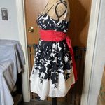 B Darlin  Black White Dress w Pink Size 3/4 Photo 1