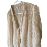 Daniel Rainn  Sheer Top With Attached Camisole Photo 1