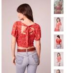 Band of Gypsies  NWT Red Floral Smocked Crop Top Short Sleeve Size M Photo 6