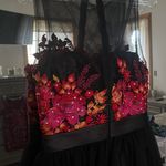 Cinderella Black/ Floral Dress Photo 3
