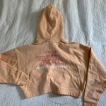 The North Face Cropped Hoodie Photo 1