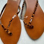 NWT J. Crew Capri Sandal Faux Tortoise Strap Summer Flip Flop Sandals Size 12 Tan Photo 2