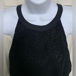 Loft  Lacy & Velvety Dressy Tank Photo 2