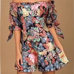 KEEPSAKE The Label Black Hydrangea
Runaway Off The Shoulder Mini
Dress Sz M (6) Pink Photo 1