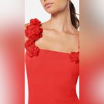 Elliatt  Red Mini Dress Photo 3