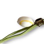 Free People Katie Leather Shell Choker NWT Layered Necklace Beach Bohemian Surf Photo 7