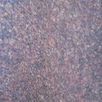 Pendleton Vintage 50's  Brown Jacket Photo 3