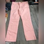 Pilcro and the Letterpress  stet pink Straight-Leg Pants size 28 Photo 4