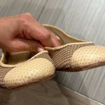 Giuseppe Zanotti  mesh flats Photo 3