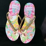 Lilly Pulitzer spring flip flops gold strap floral top NEW 9 Photo 1