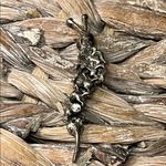 Chic Coral Caterpillar Brooch with Rhinestone Accents Pink Photo 4