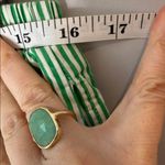 Lisa Says Gah  XL Green Striped Shorts Photo 6