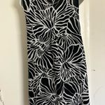 Lane Bryant Zebra Print Dress size 20- Great fashion! Photo 2