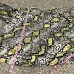 Universal Standard  Lucina snake pattern blouse women’s size 22/24‎ Photo 6