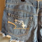 American Eagle  Tomgirl Shortie Photo 3