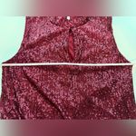 Calvin Klein Burgandy Sequined Sleeveless Top
Size Large Photo 7