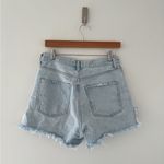 AGOLDE Dee Shorts in Muse 27 Photo 7