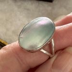 Natural Nautilus Sea Shell Sterling Silver Ring Size 10.5 Photo 2