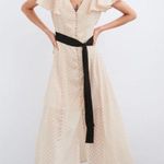 ZARA Cream Swiss Dot Mesh Midi Dress Photo 0