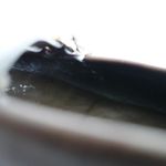 Tod's Brown Double Buckle Mary Jane Flats Driver Loafer Size 5 Photo 10