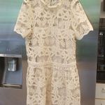 Current Air ππ Lace Mock Neck Dress ~ Cream Large L NWT Photo 7